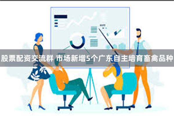 股票配资交流群 市场新增5个广东自主培育畜禽品种
