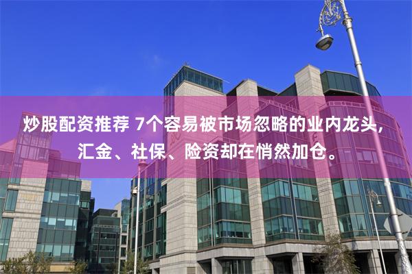 炒股配资推荐 7个容易被市场忽略的业内龙头, 汇金、社保、险资却在悄然加仓。