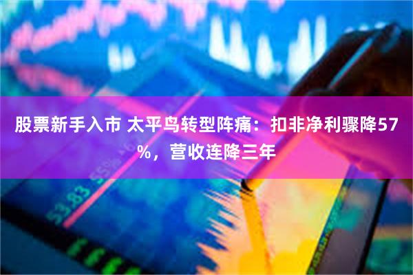 股票新手入市 太平鸟转型阵痛：扣非净利骤降57%，营收连降三年