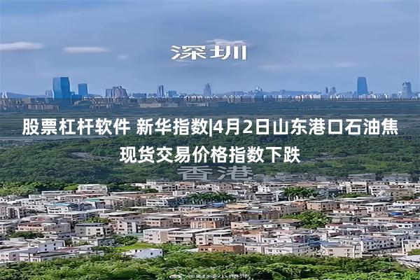 股票杠杆软件 新华指数|4月2日山东港口石油焦现货交易价格指数下跌