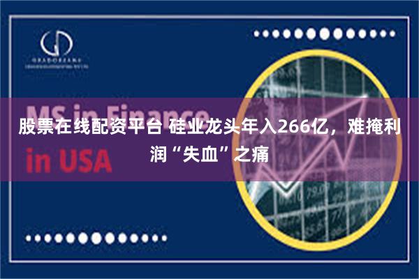 股票在线配资平台 硅业龙头年入266亿，难掩利润“失血”之痛