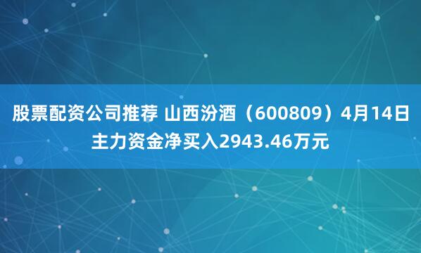 股票配资公司推荐 山西汾酒（600809）4月14日主力资金净买入2943.46万元
