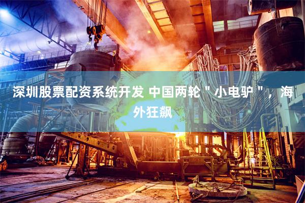 深圳股票配资系统开发 中国两轮＂小电驴＂，海外狂飙