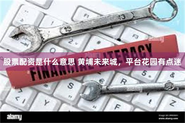 股票配资是什么意思 黄埔未来城，平台花园有点迷