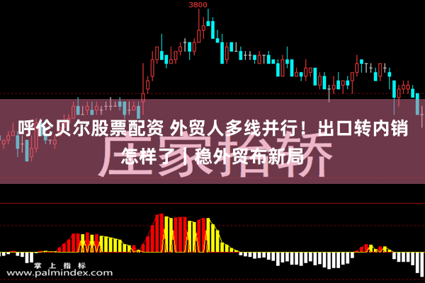 呼伦贝尔股票配资 外贸人多线并行！出口转内销怎样了｜稳外贸布新局