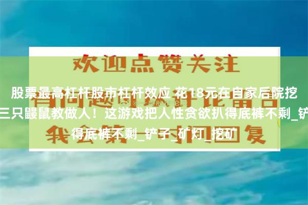 股票最高杠杆股市杠杆效应 花18元在自家后院挖穿地，结果被三只鼹鼠教做人！这游戏把人性贪欲扒得底裤不剩_铲子_矿灯_挖矿