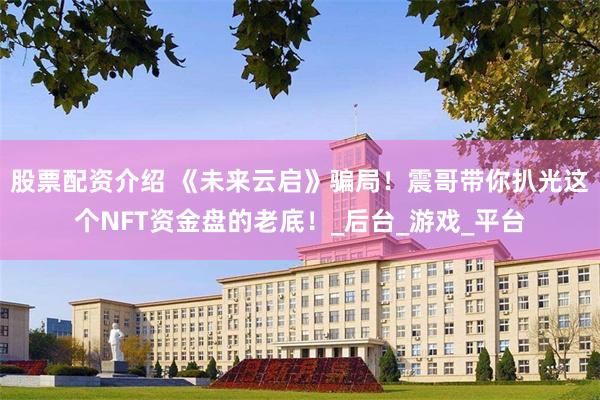 股票配资介绍 《未来云启》骗局！震哥带你扒光这个NFT资金盘的老底！_后台_游戏_平台