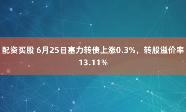 配资买股 6月25日塞力转债上涨0.3%，转股溢价率13.11%