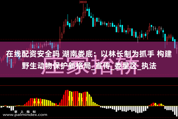 在线配资安全吗 湖南娄底：以林长制为抓手 构建野生动物保护新格局_宣传_娄星区_执法