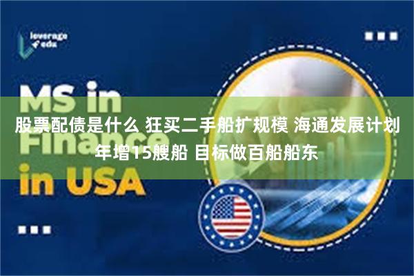 股票配债是什么 狂买二手船扩规模 海通发展计划年增15艘船 目标做百船船东