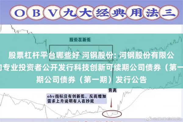 股票杠杆平台哪些好 河钢股份: 河钢股份有限公司2025年面向专业投资者公开发行科技创新可续期公司债券（第一期）发行公告