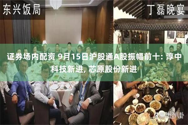 证券场内配资 9月15日沪股通A股振幅前十: 淳中科技新进, 芯原股份新进