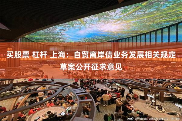 买股票 杠杆 上海：自贸离岸债业务发展相关规定草案公开征求意见