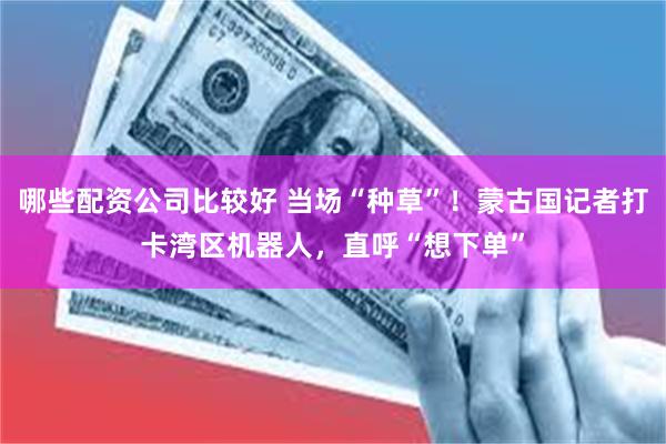 哪些配资公司比较好 当场“种草”!蒙古国记者打卡湾区机器人,直呼“想下单”
