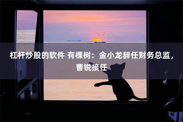 杠杆炒股的软件 有棵树：金小龙辞任财务总监，曹锐接任